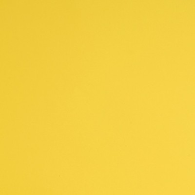 E3116M - Jaune Clair Mat 2